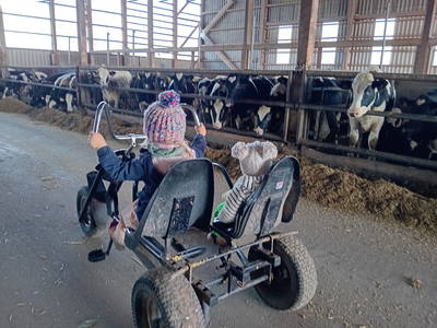 Bild 2 aus  Ferienhof Landfrieden