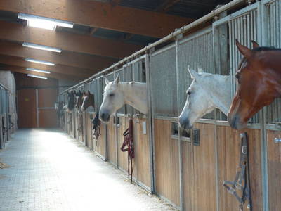 Bild 19 aus  Mühlberghof