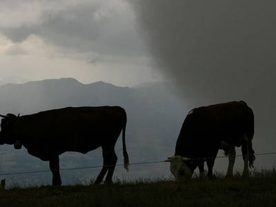 Bild 13 aus  Eselhof Le Certeau