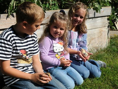 Bild 2 aus  Hofbauer - Ihr Urlaubsbauernhof am Chiemsee