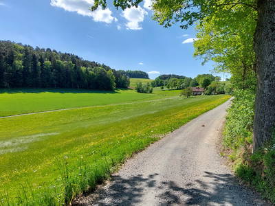 Bild 31 aus  Ferienhof Lochau