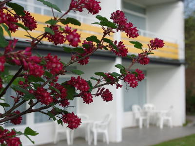 Bild 6 aus  Ferienhof Kleingarn