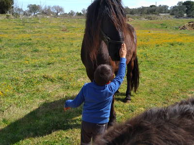 Bild 40 aus  Urlaub auf dem Lande zwischen den zwei Meeren - Apulien - Salento