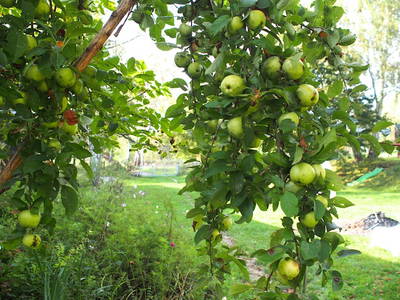 Bild 21 aus  Gut Pälitzhof