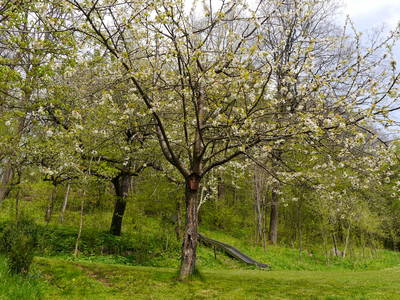 Bild 11 aus  Gästehaus im Lochautal