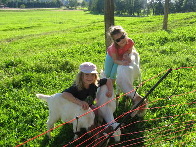 Bild 8 aus  Ingritthof