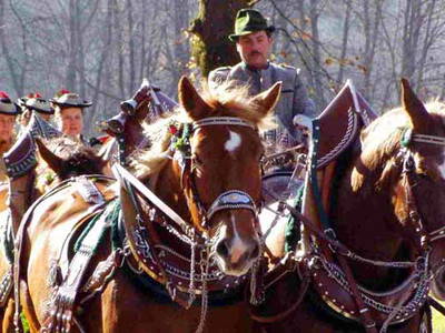 Bild 11 aus  Ignazhof