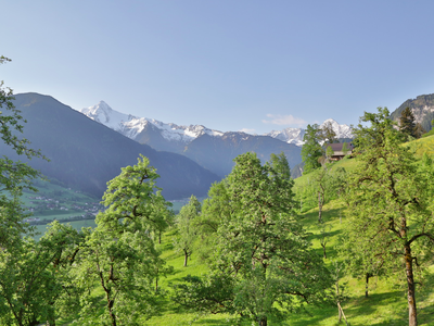 Bild 11 aus  Ferienwohnungen Neuhaushof