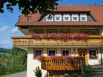 Bild 2 aus  Danielenhof