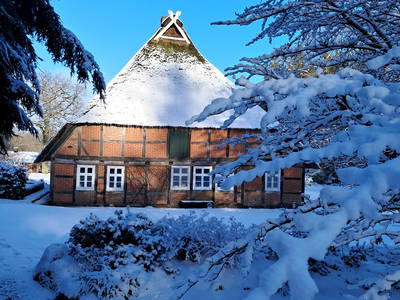 Bild 36 aus  Hof Höpen