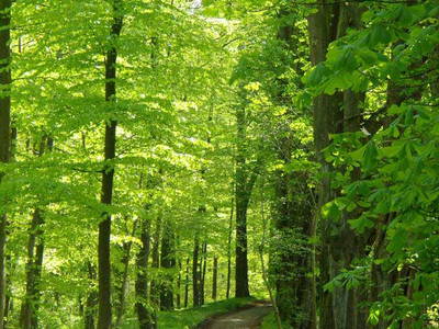 Bild 17 aus  Gut Hohenhain