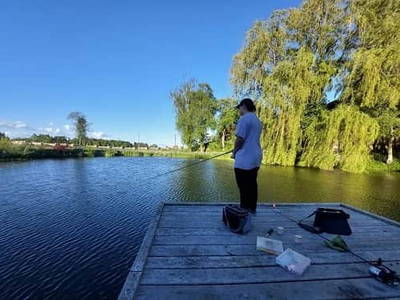 Bild 33 aus  Camping am Hofweiher beim Brunnerhof