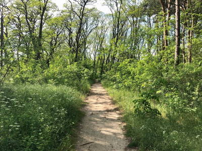 Bild 34 aus  Biber Ferienhof