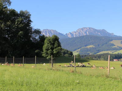 Bild 17 aus  Obermoarhof