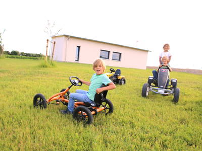 Bild 54 aus  Hollweck's Landoase