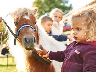 Bild 24 aus  Ferienhof Stetter