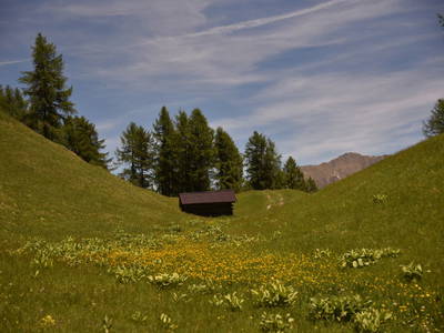 Bild 6 aus  Natürliches Ferienwohnen