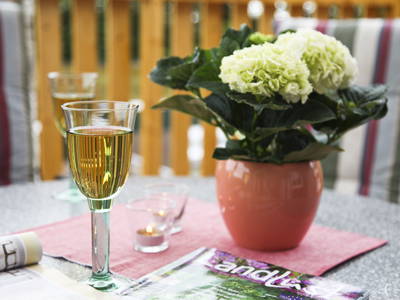 Bild 16 aus  LandSelection Ferien- und Erlebnishof Janssen