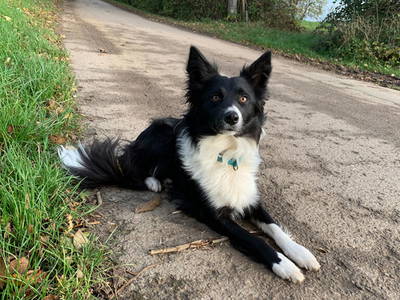 Bild 14 aus  Grünberger Hof