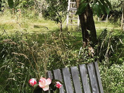 Bild 15 aus  Ferienhof Rauchhaus