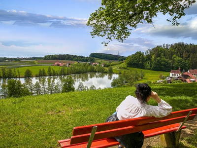 Bild 53 aus  Hofgut Schleinsee  - idyllisch am eigenen See