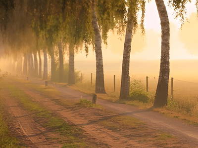 Bild 10 aus  Skop'nboer