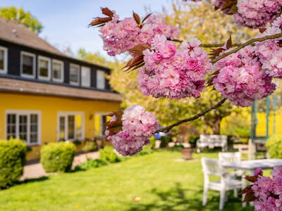 Bild 2 aus  Ferienhof Schnoor