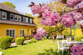 Ferienhof Schnoor aus Schönwalde (Bungsberg)