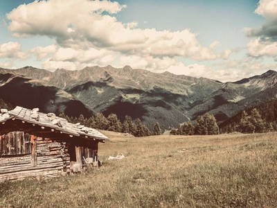 Bild 4 aus  Stegerhof