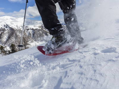 Bild 51 aus  BIO Bergbauernhof Inner-Glieshof