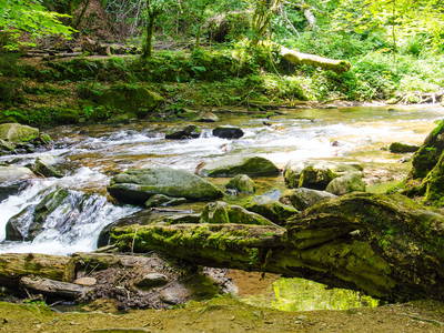 Bild 37 aus  Der Ofenmacherhof  Urlaub am Bauernhof