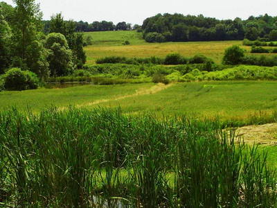 Bild 7 aus  Domaine du Val des Ragondins