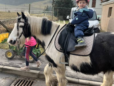 Bild 29 aus  Landkulturhof Glücksbringer