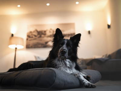 Bild 2 aus  Ferienwohnungen Wunschzeit  Bayern