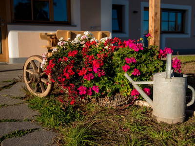 Bild 11 aus  Wietererhof