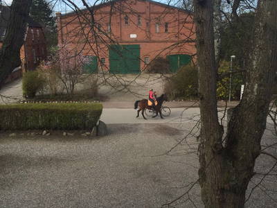 Bild 27 aus  Ferienhof Marquardt