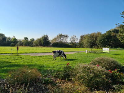 Bild 24 aus  Ferienwohnungen Harriersand direkt an der Weser