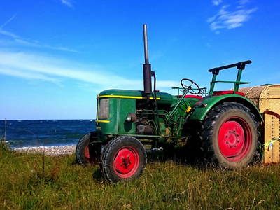 Bild 15 aus  Ferienhof Presener Deichkrone