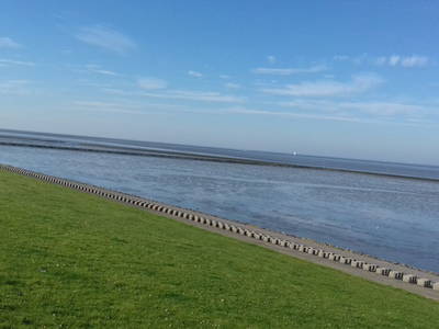 Bild 11 aus  Ferienwohnungen Meyerhoff