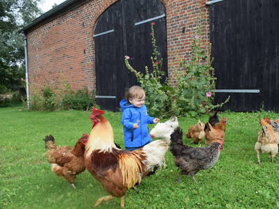Bild 8 aus  Hof Hospitalmühle