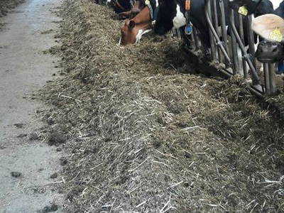 Bild 16 aus  Hof-Heiß