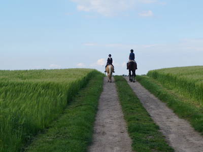 Bild 2 aus  Ferienhof Seelust