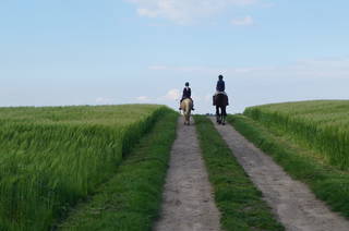 Ferienhof Seelust aus Fehmarn
