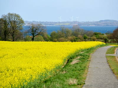Bild 13 aus  Elsas Enkel Ostseeurlaub