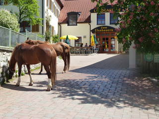 Landgasthof Zum Elsabauern - "Schöina wia dahoim" is beim Elsabauern