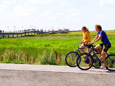Bild 48 aus  Ferienhof Peter -  Ponys - streicheln, striegeln, füttern  -  Wattwanderungen + ganz viel Nordsee