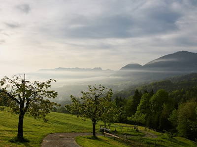 Bild 25 aus  Koglhof