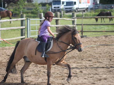 Bild 6 aus  Ferienhof Siemen