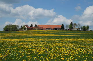 Tannenhof - Tannenhof
