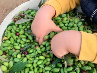 Bild 10 aus  Agriturismo Turudhis